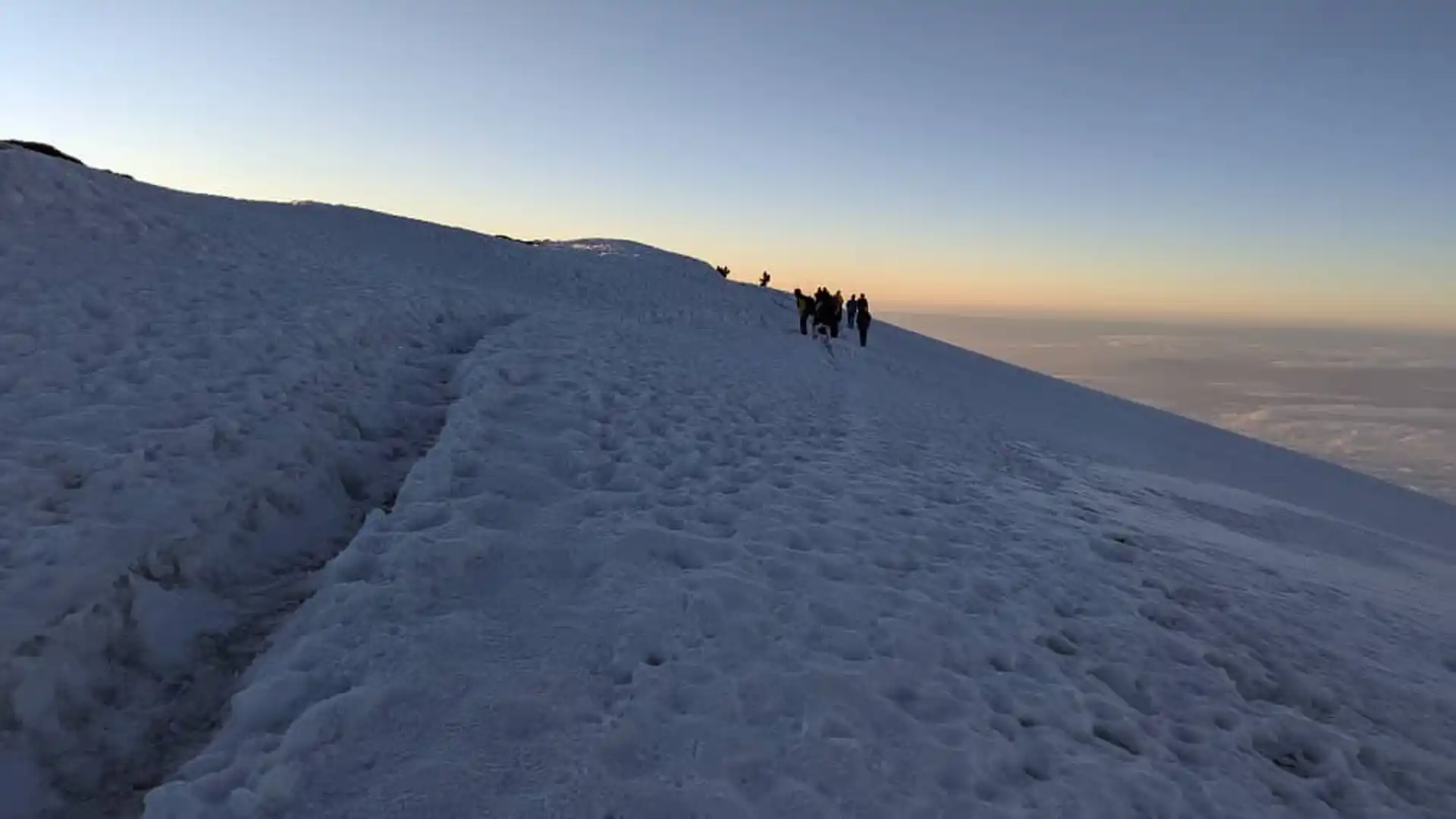 Tanzania Safari Background